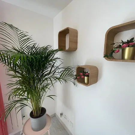 Le Grand Dollfus, 90m2 De Charme Au Coeur De Mulhouse