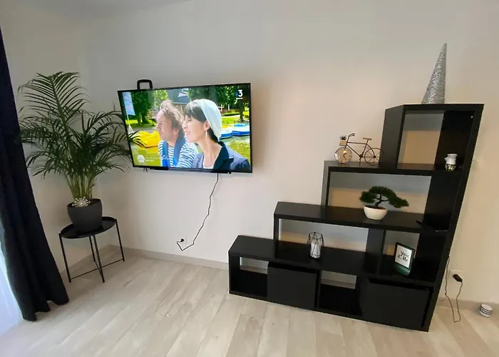 Le Grand Dollfus, 90m2 De Charme Au Coeur De * Mülhausen